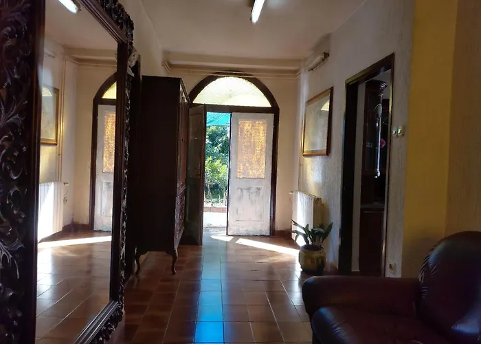 Arena Apartament *